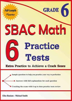 6 SBAC Test Grade 6 page